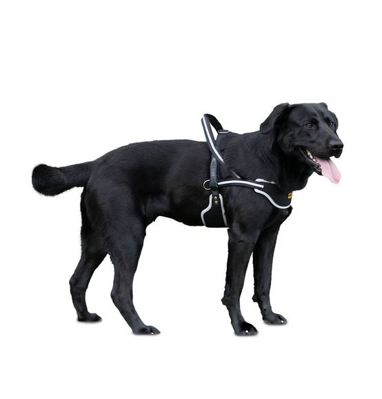 Ferplast - Ferplast Harnais Chien de taille moyenne ERGOCOMFORT NORDIC, Harnais pour chien rembourré, Réfléchissant, Facile à porter et à régler, Dégagement - Imagen 4