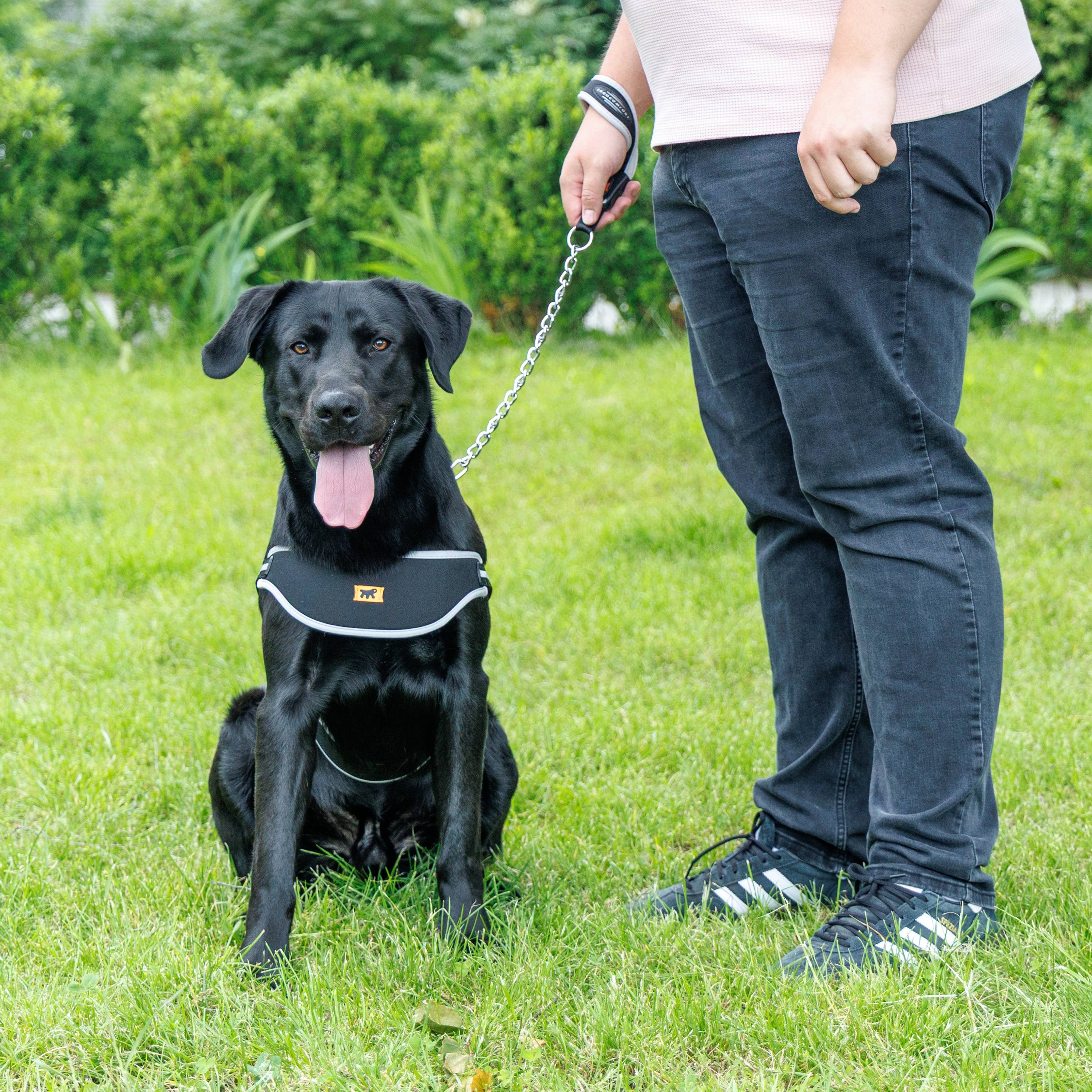 Ferplast - Ferplast Harnais Chien de taille moyenne ERGOCOMFORT NORDIC, Harnais pour chien rembourré, Réfléchissant, Facile à porter et à régler, Dégagement - Imagen 3