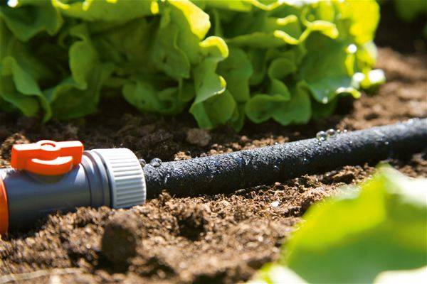 Gardena - Tuyau d'arrosage micro-poreux 100 m non équipé Gardena - Imagen 2