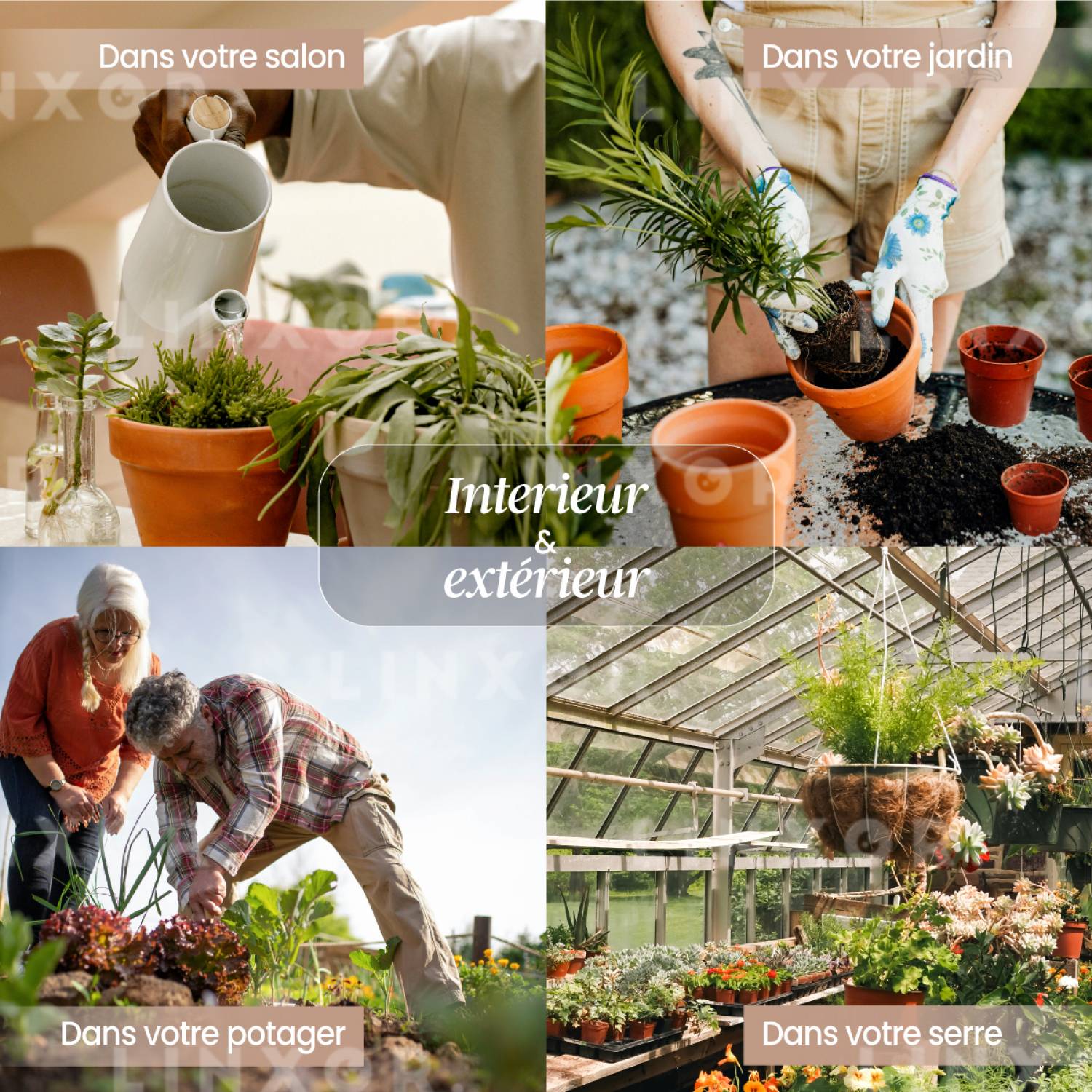 Linxor - Testeur, capteur d'humidité, hygromètre pour plante ou sol - Linxor - Imagen 6