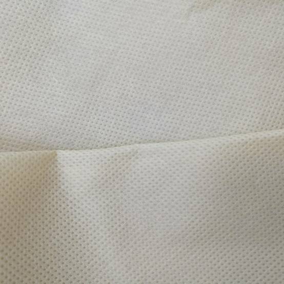 Housse d'hivernage large pour plante 200 x 240 Beige - Image 5