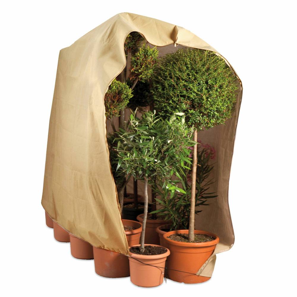 Housse d'hivernage large pour plante 200 x 240 Beige - Image 1