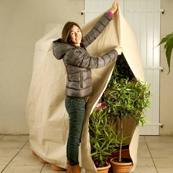 Housse d'hivernage large pour plante 200 x 240 Beige - Image 7
