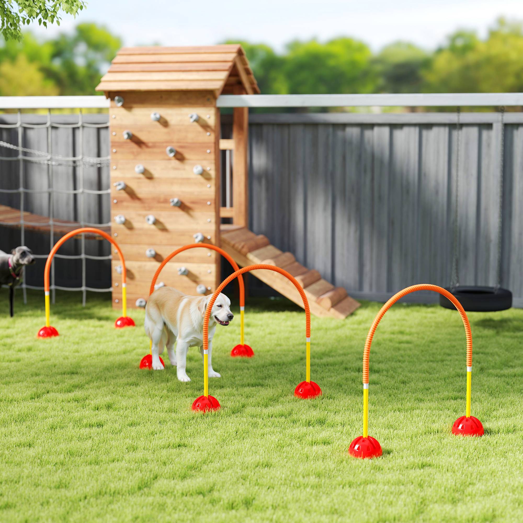 Kit d'agilité pour chien plastique orange 100 x 19.5 x 95 cm - PANGIVO - Image 4