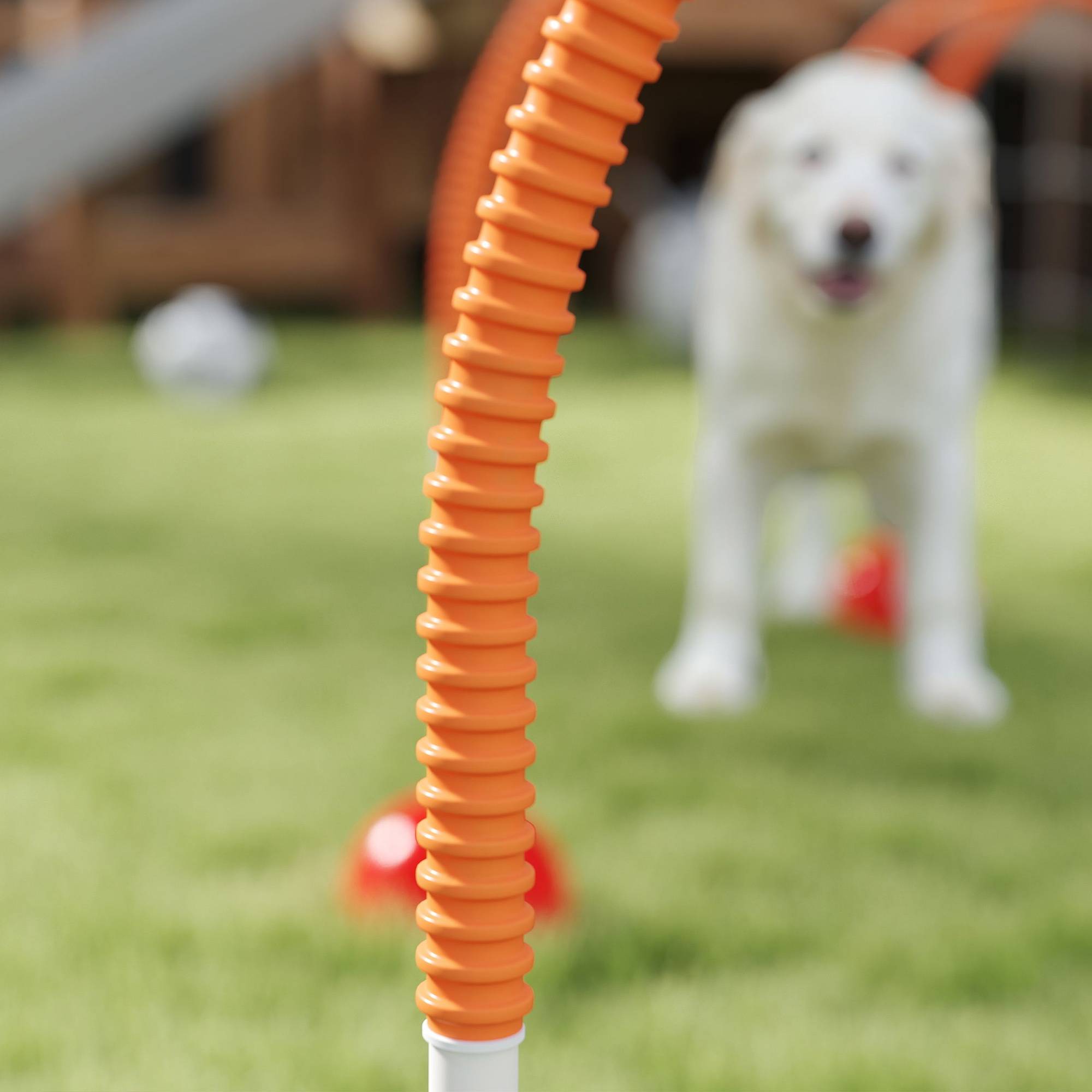 Kit d'agilité pour chien plastique orange 100 x 19.5 x 95 cm - PANGIVO - Image 10