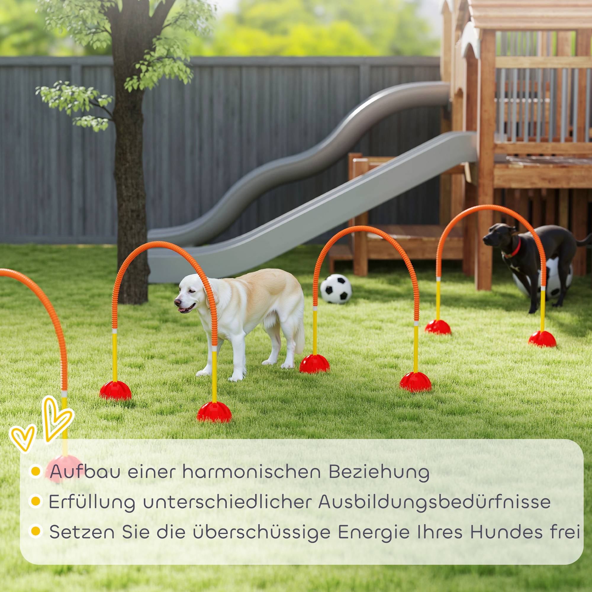 Kit d'agilité pour chien plastique orange 100 x 19.5 x 95 cm - PANGIVO - Image 9