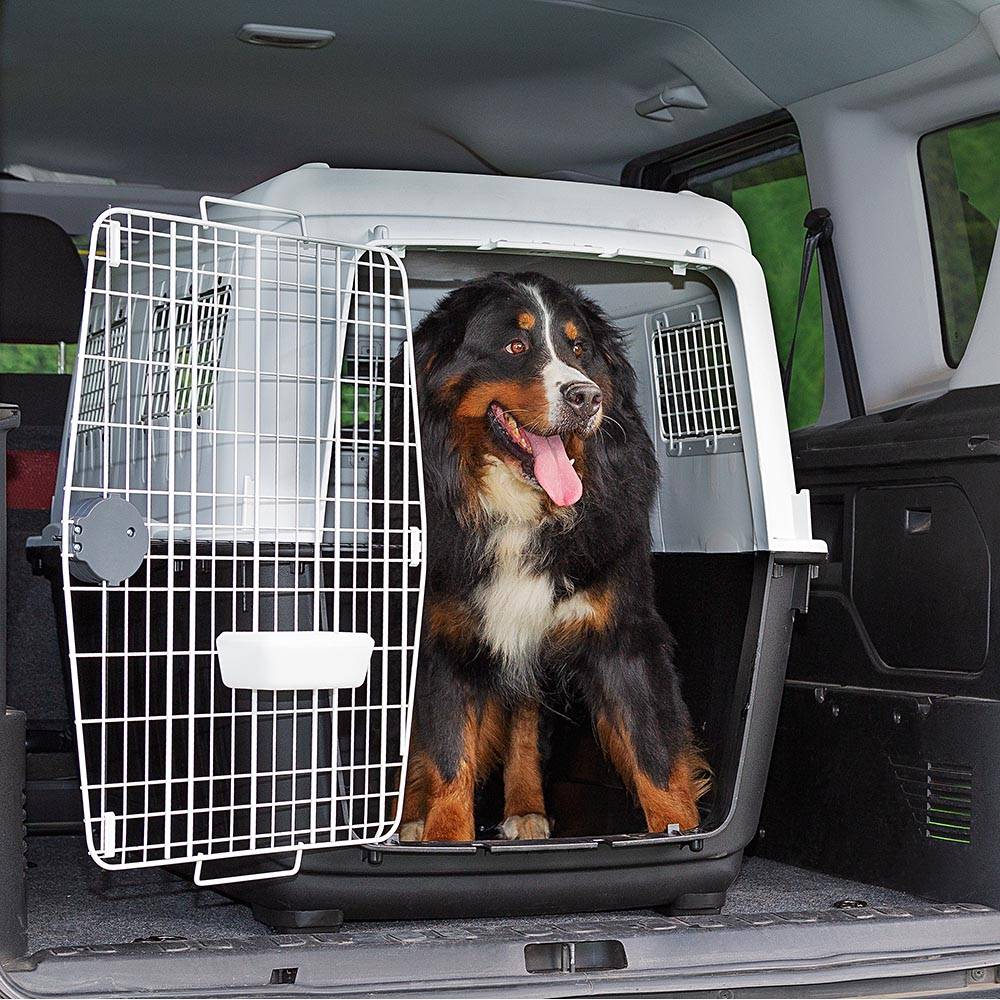 Ferplast - Transport pour Grands Chiens ATLAS 80, avec Mangeoire et Accessoires, Fermeture de sécurité, Grilles d'aération - Imagen 4