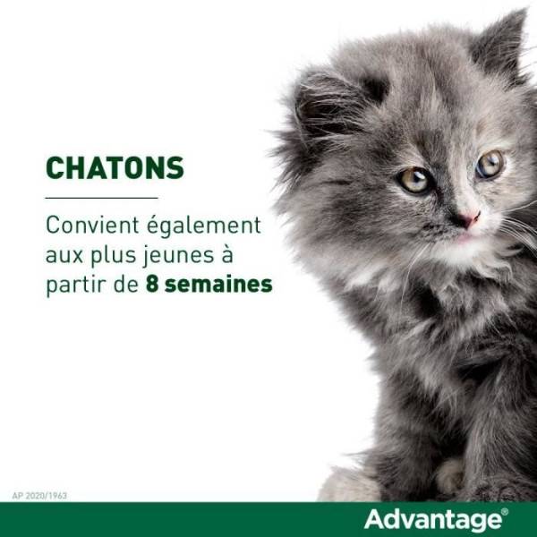 Advantage - ADVANTAGE Solution Antipuce Chat Lapin +4kg 4 pipettes - Image 4