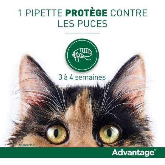 Advantage - ADVANTAGE Solution Antipuce Chat Lapin +4kg 4 pipettes - Image 3