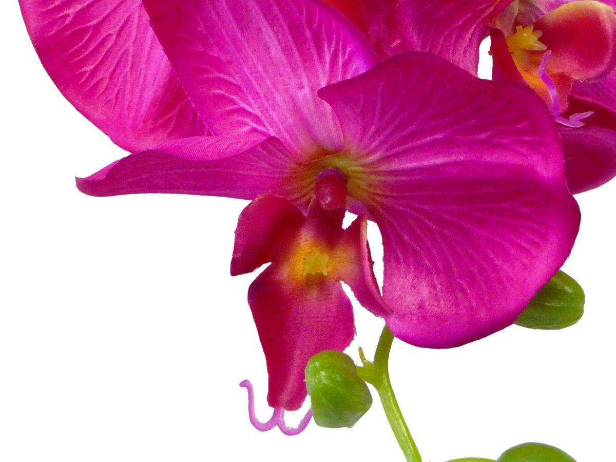 Artificielles - Orchidee Tao factice H105cm 8 fleurons 5boutons de qualité Rose fushia - couleur: Rose fushia 730 - Imagen 2