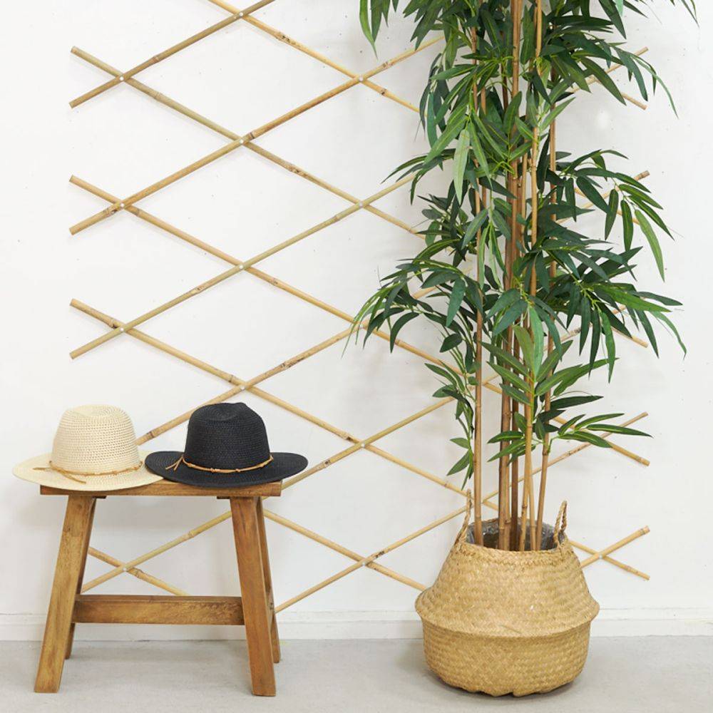Aubry Gaspard - Treillis extensible en bambou - Imagen 2