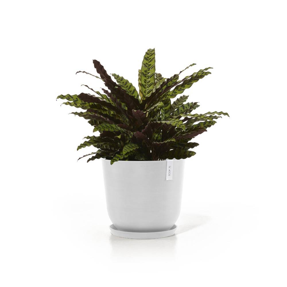 Ecopots - Soucoupe à roulette 60 Pure White ECOPOTS - Imagen 2