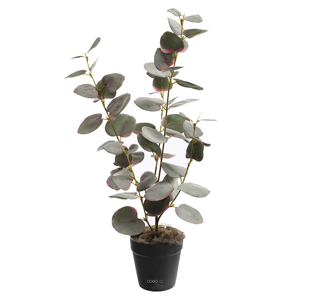 Artificielles - Eucalyptus artificiel en pot, H 47 cm, D 23 cm Vert-rose - couleur: Vert-rose - Imagen 1