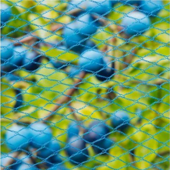 Filet anti-oiseaux Nano bleu - 2m - 5m - Image 1