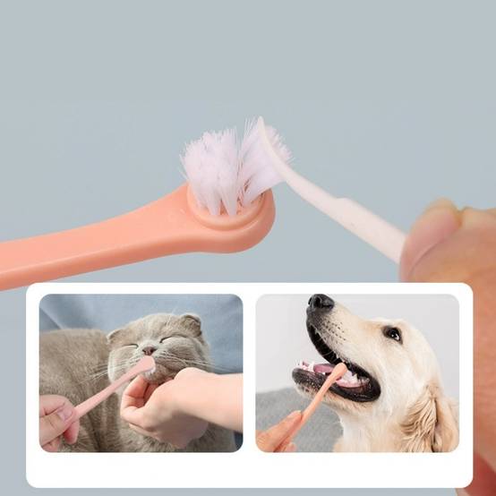 IntiMeg - Brosse à dents pour chien et chat IntiMeg - Image 3