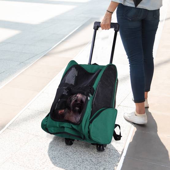 Sac à dos de transport 2 en 1 pour chiens et chats avec poches latérales, poignée télescopique et roulettes, 42 x 25 x 55 cm, vert - Image 3