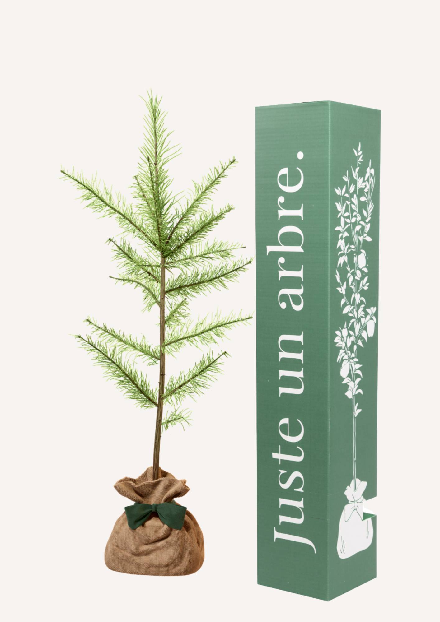 JUSTE UN ARBRE. – Mélèze d'Europe | Idée cadeau écologique pour naissance, mariage, anniversaire – Conifère résistant pour grands espaces.