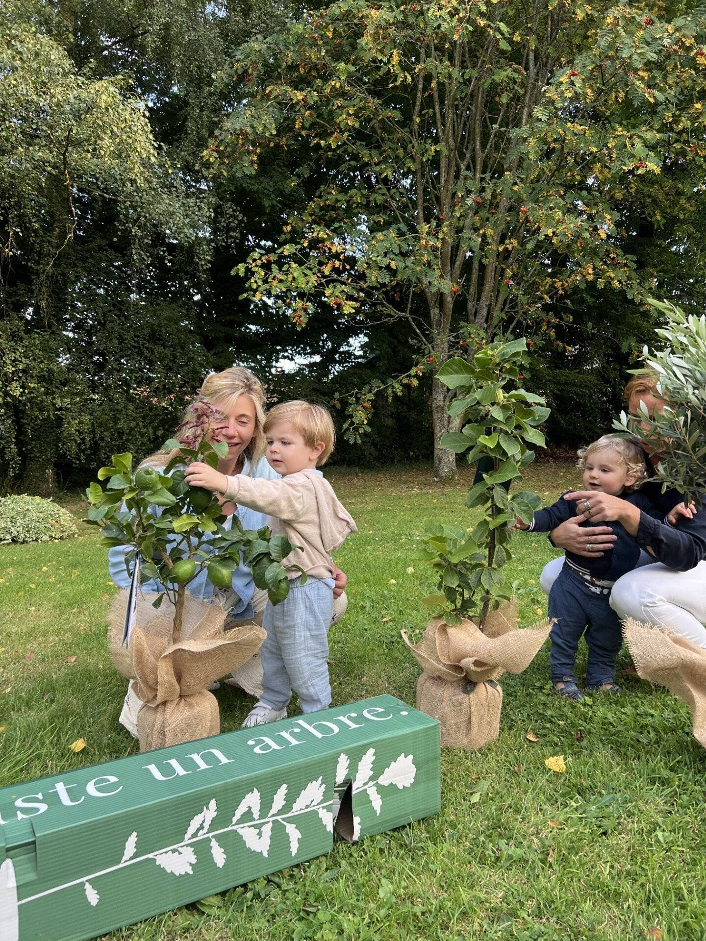 JUSTE UN ARBRE. – Mélèze d'Europe | Idée cadeau écologique pour naissance, mariage, anniversaire – Conifère résistant pour grands espaces. - Image 5