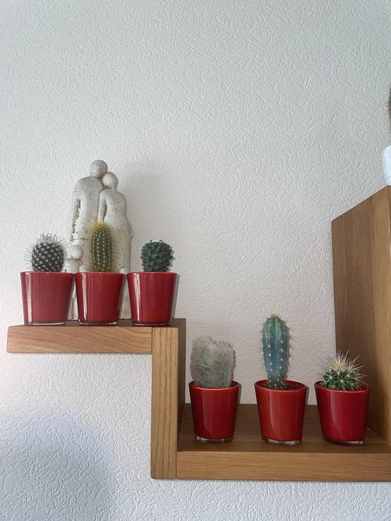 La Green Touch - Ensemble de 6 Cactus avec Pots Rouges- La Green Touch - Image 3
