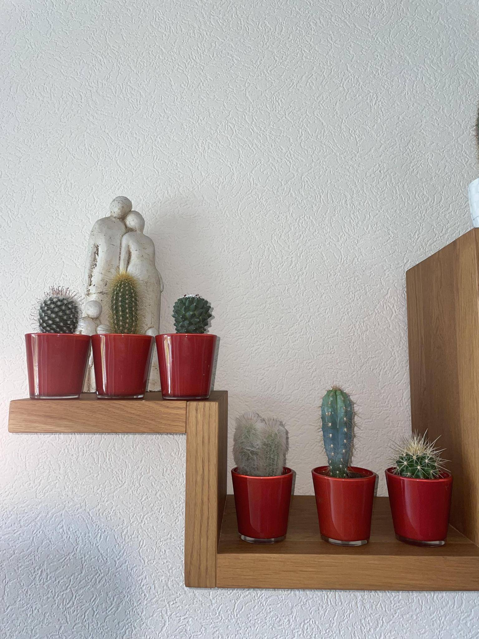 La Green Touch - Ensemble de 6 Cactus avec Pots Rouges- La Green Touch - Image 3
