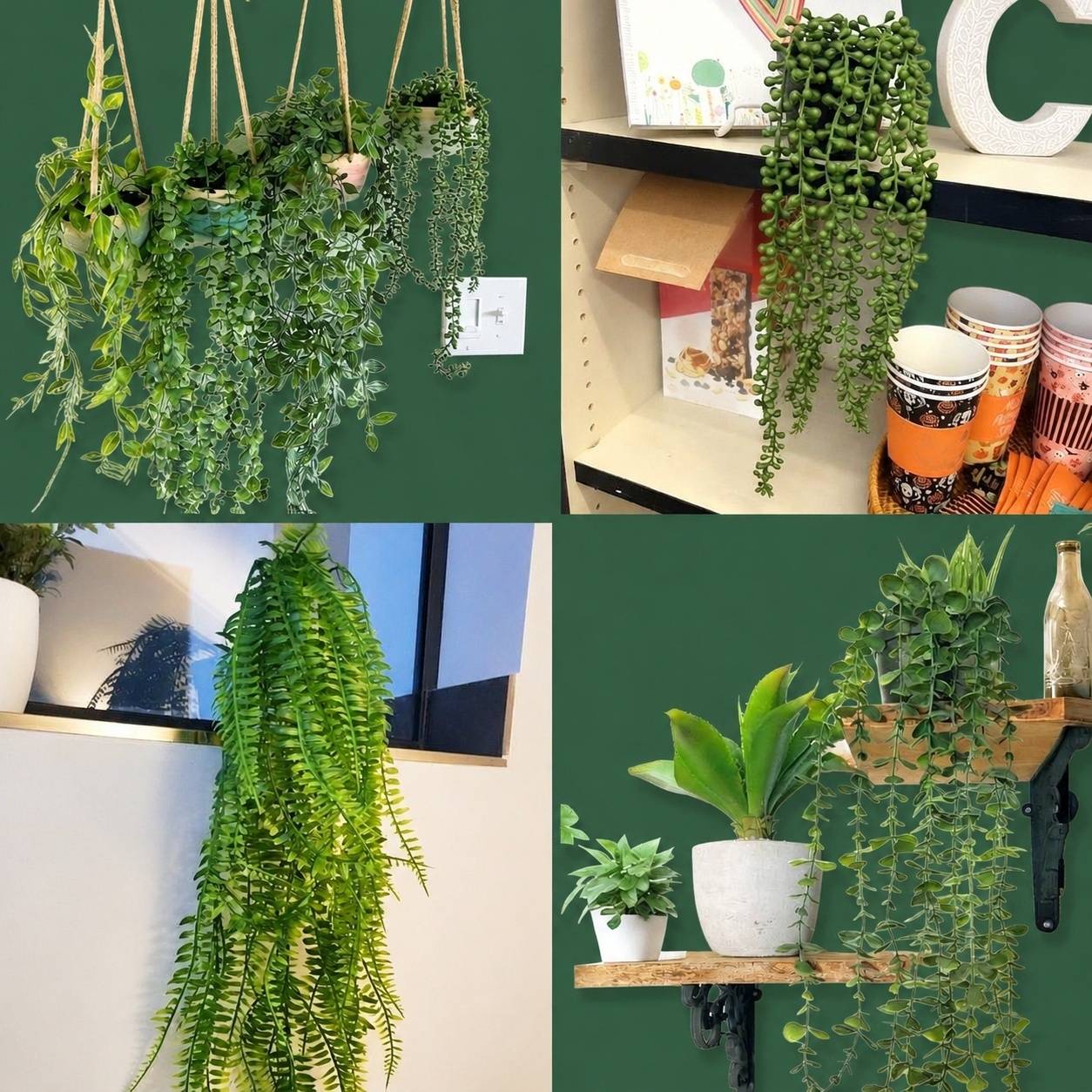 Lot de 5 Plantes Artificielles Suspendues Avec Pot Sans Entretien Réaliste Pour Intérieur - Image 7
