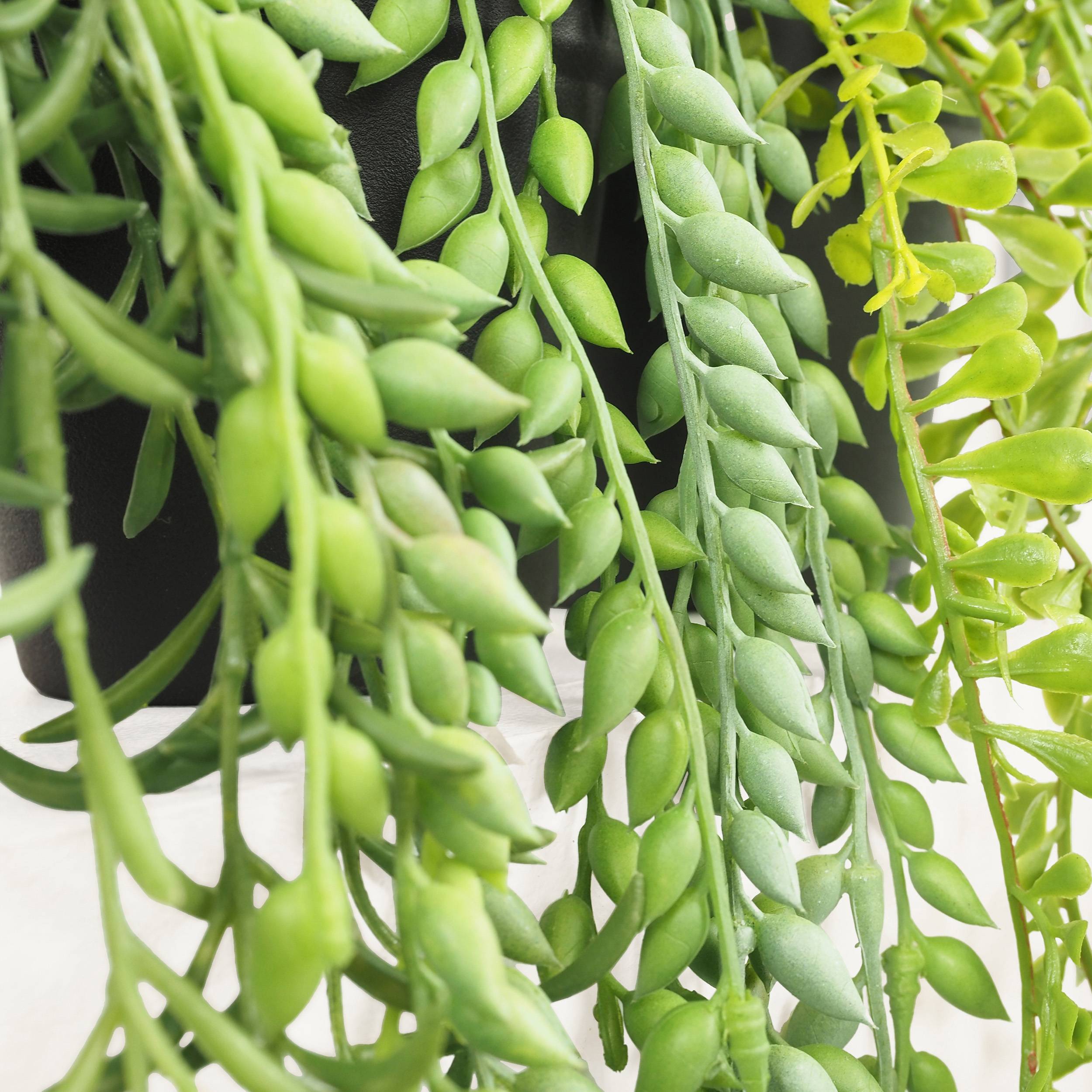 Ligne Deco - Plante succulente retombante artificielle 40/60cm lot de 3 - Image 4