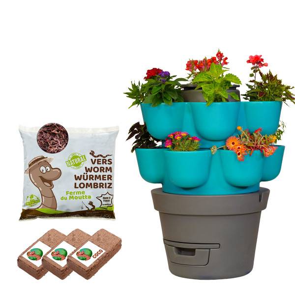 WORMgarden Turquoise 2 jardinières + 250gr de Vers - Image 1