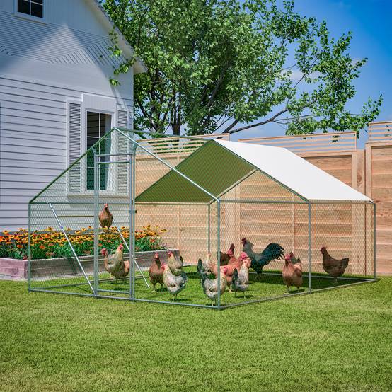 Enclos poules acier galvanisé extérieur avec échelle bâche 12m² 3x4m gris - ComfortXL Outdoor Living - Image 1