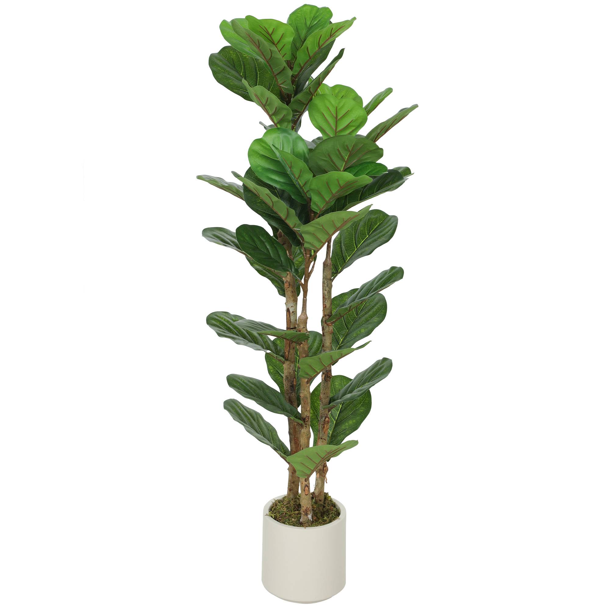 Sans Marque - Plante artificielle intérieure 120 cm Figuier lyre arbre artificiel avec pot en plastique et tronc en bois massif, vert - Image 2