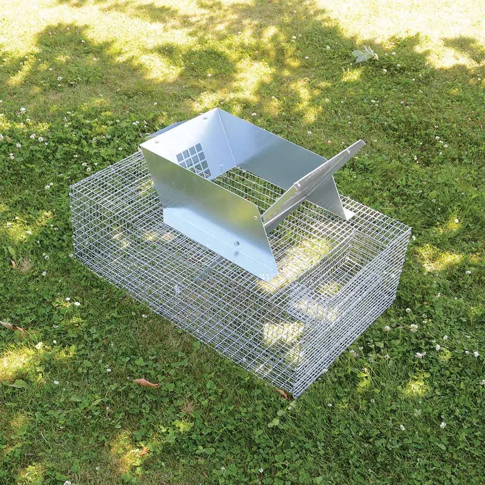 Cage Catiche Hénon multiprise pour ragondins et rats musqués - Image 2