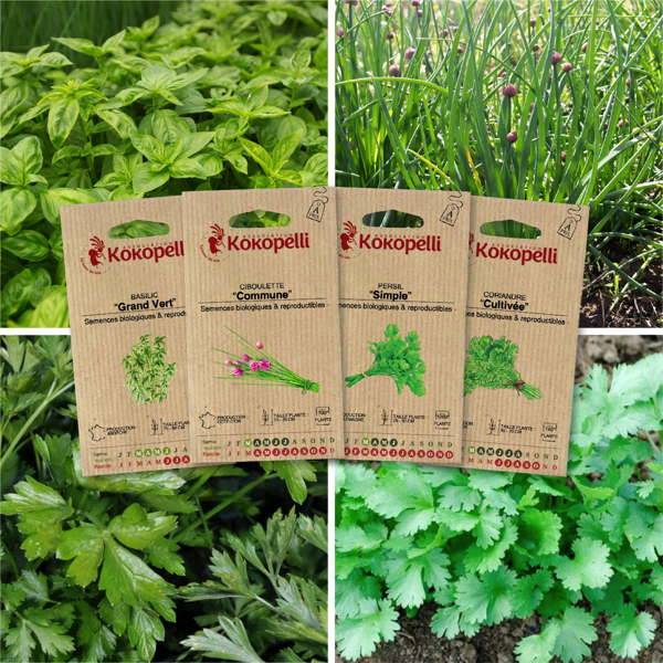 Herbes aromatiques - 4 sachets de graines bio à semer - Imagen 1