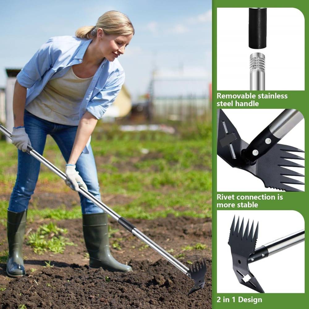 Outils de désherbage-Extracteur de mauvaises herbes 2-en-1 – Manche réglable 42-150 cm – Râteau + binette en acier -Living123 - Image 3