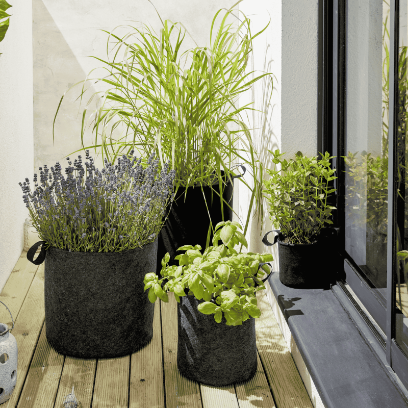 Autre - Lot de 5 Sac plantation feutre géotextile ø 25 cm 12,3 L Noir - Bag 4 Plant - Image 2