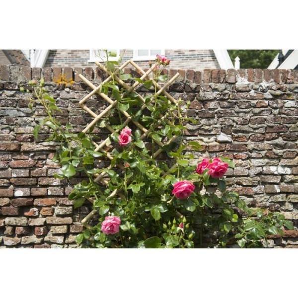 Treillis extensible - NATURE - En bambou - 45 x 180 cm - Image 2