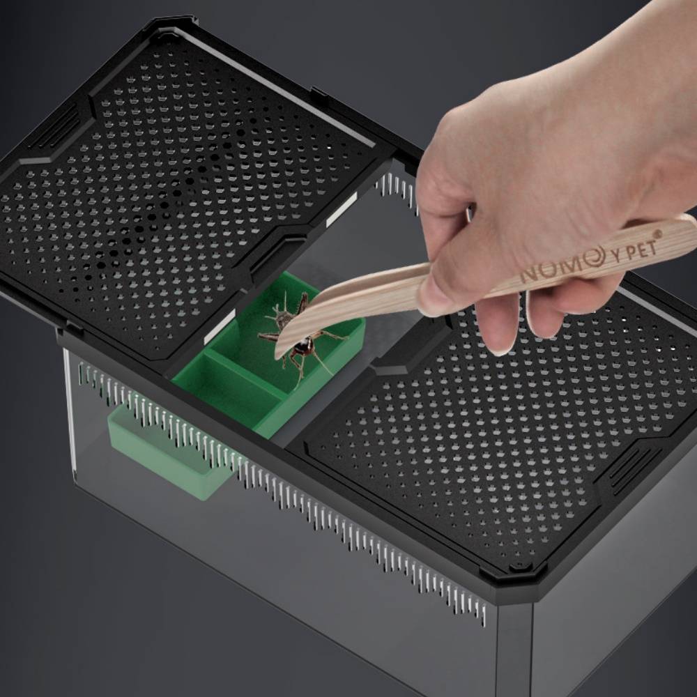 Boîte d'élevage en plastique pour reptiles - Double porte magnétique - MCBOSON - Imagen 4