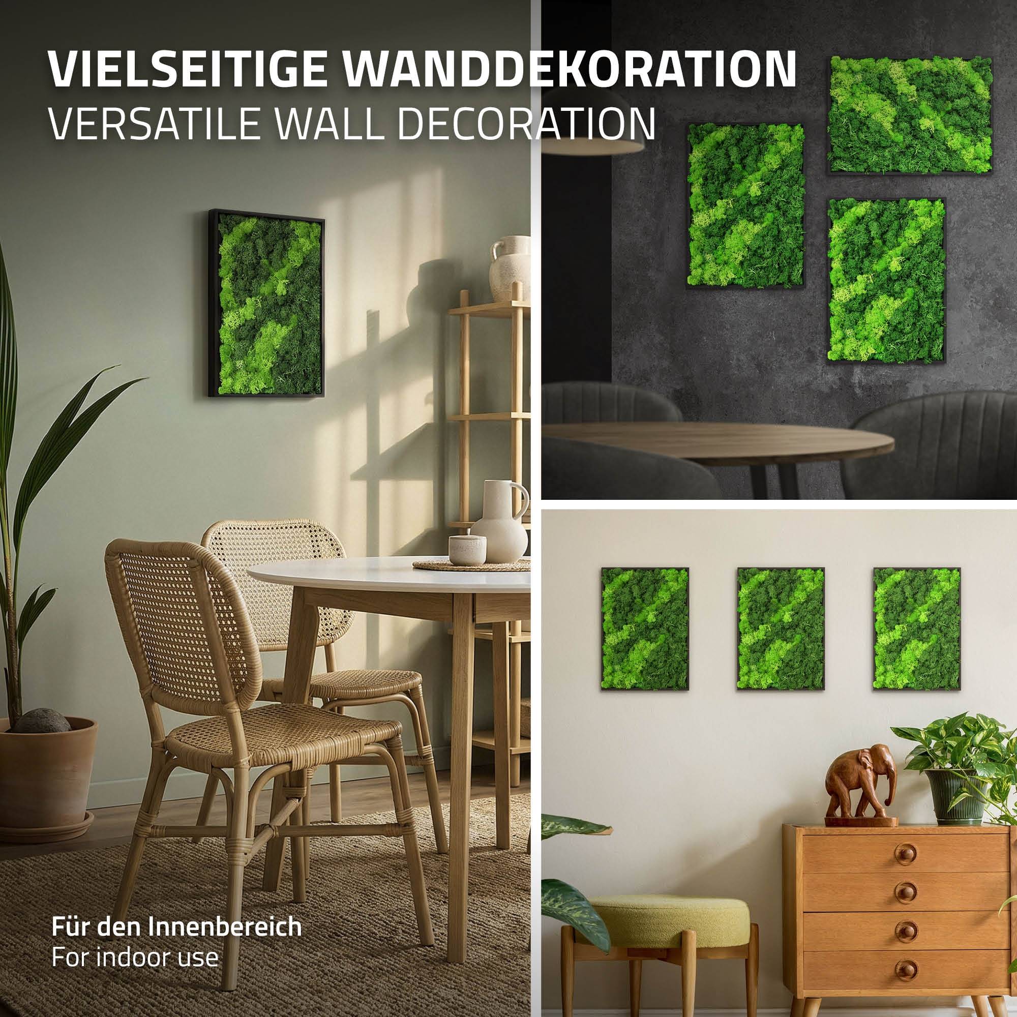 Ecd-Germany - Tableau en mousse de renne stabilisée, rectangulaire 38x27 cm, vert, décoration murale végétale d'intérieur, cadre en bois, sans arrosage ni entretien - Image 5