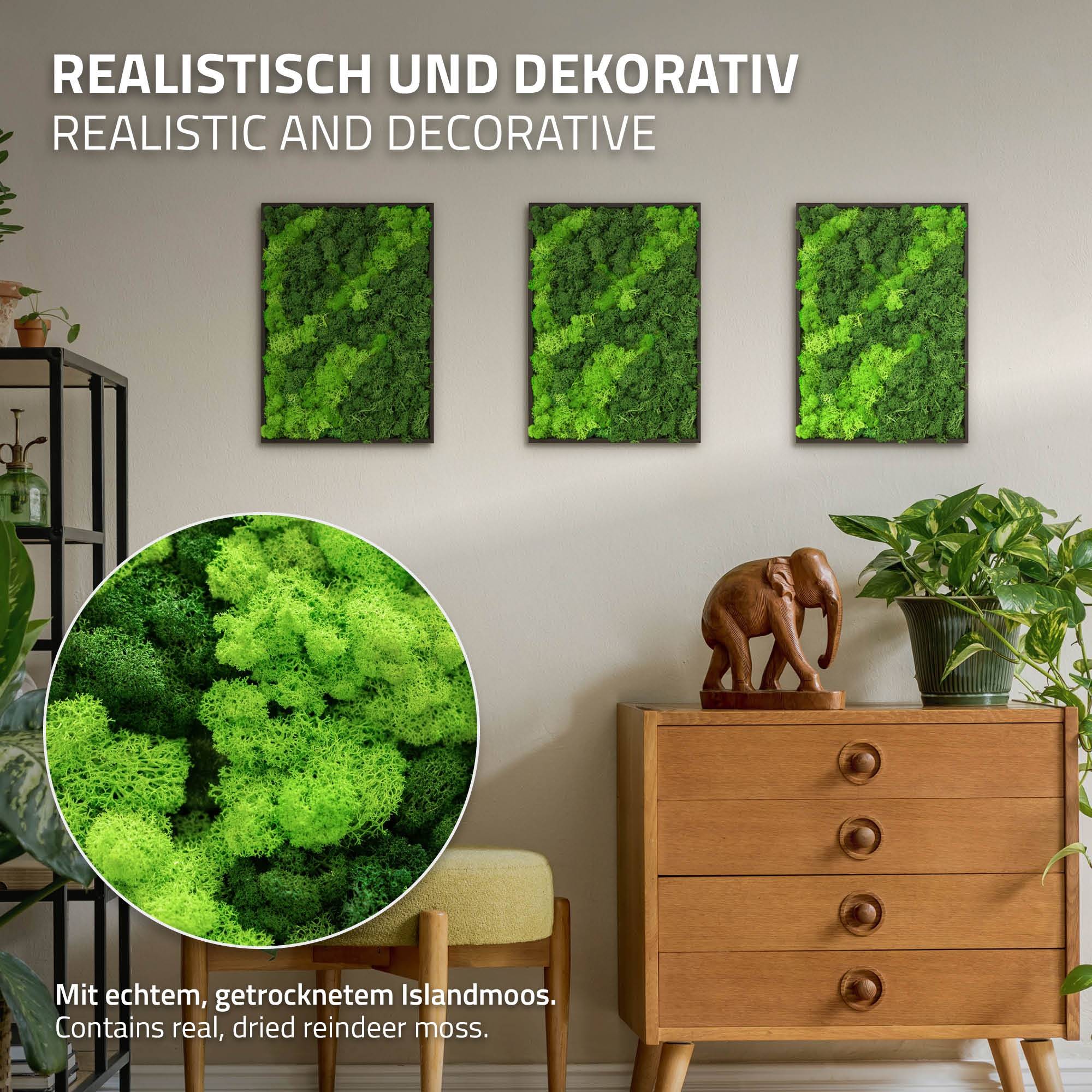 Ecd-Germany - Tableau en mousse de renne stabilisée, rectangulaire 38x27 cm, vert, décoration murale végétale d'intérieur, cadre en bois, sans arrosage ni entretien - Image 3