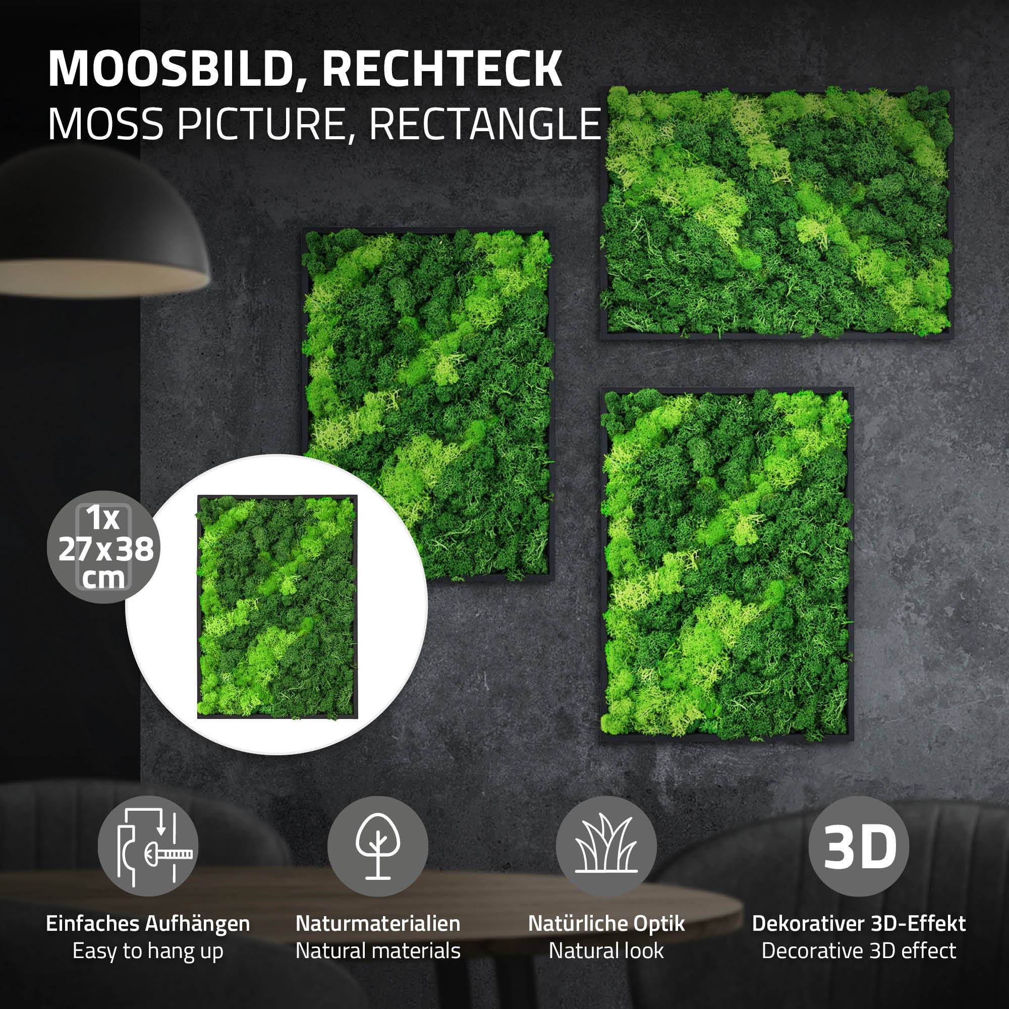 Ecd-Germany - Tableau en mousse de renne stabilisée, rectangulaire 38x27 cm, vert, décoration murale végétale d'intérieur, cadre en bois, sans arrosage ni entretien - Image 2