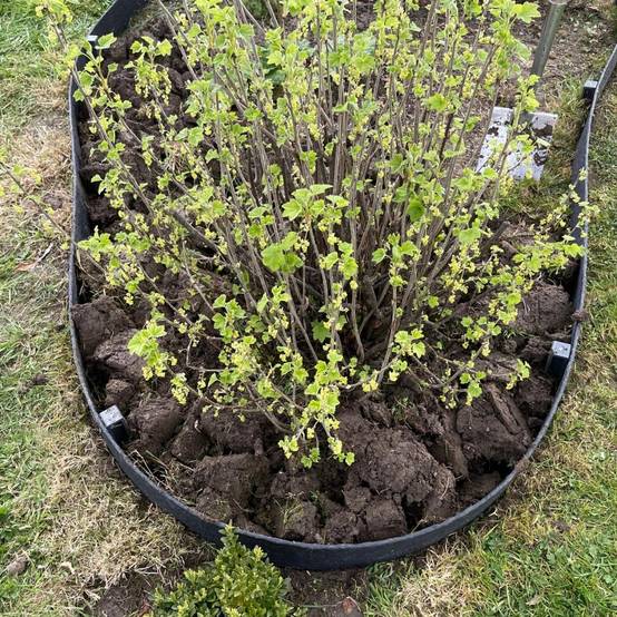 Bordure de jardin flexible JARDINEX 20 m - Noir - Jardinex - Image 4