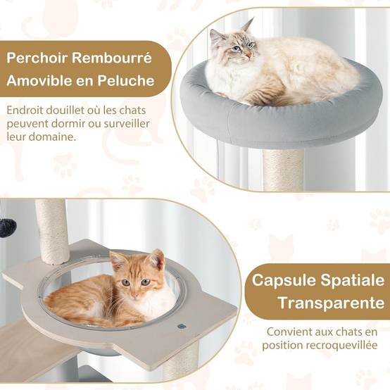 COSTWAY Arbre à Chat 113 cm, Arbre a Chat Bois, 2 Griffoirs pour Chat en Sisal, 5 Plateformes Capsule Transparente Grand Arbre a Chat 50 × 40 × 113 cm - Image 6