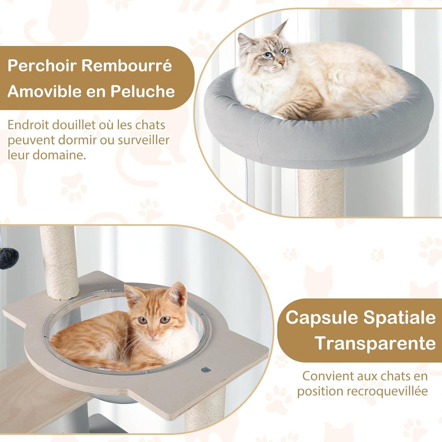 COSTWAY Arbre à Chat 113 cm, Arbre a Chat Bois, 2 Griffoirs pour Chat en Sisal, 5 Plateformes Capsule Transparente Grand Arbre a Chat 50 × 40 × 113 cm - Image 6