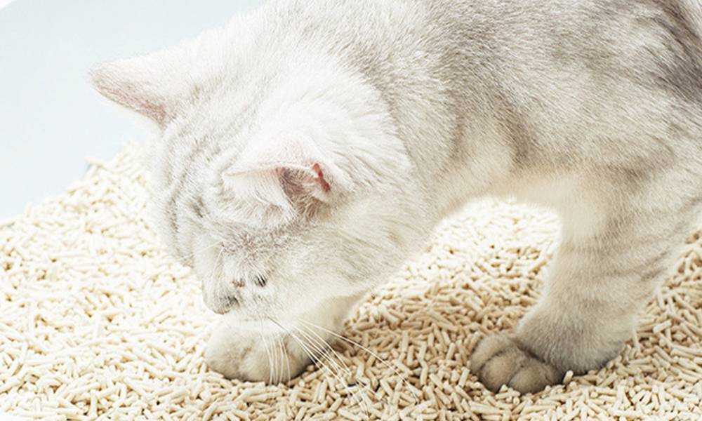 Eziclean - Lot de 8x litières végétales pour chat EZIclean Premium Cat Litter - Image 5