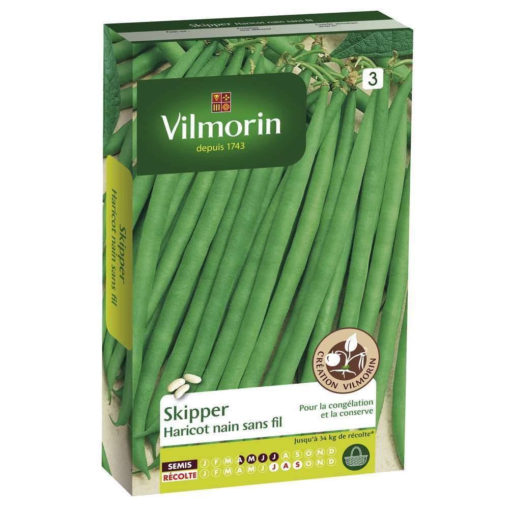 Vilmorin - Vilmorin - Graines de haricot Nain Vert Skipper -  0,200 kg