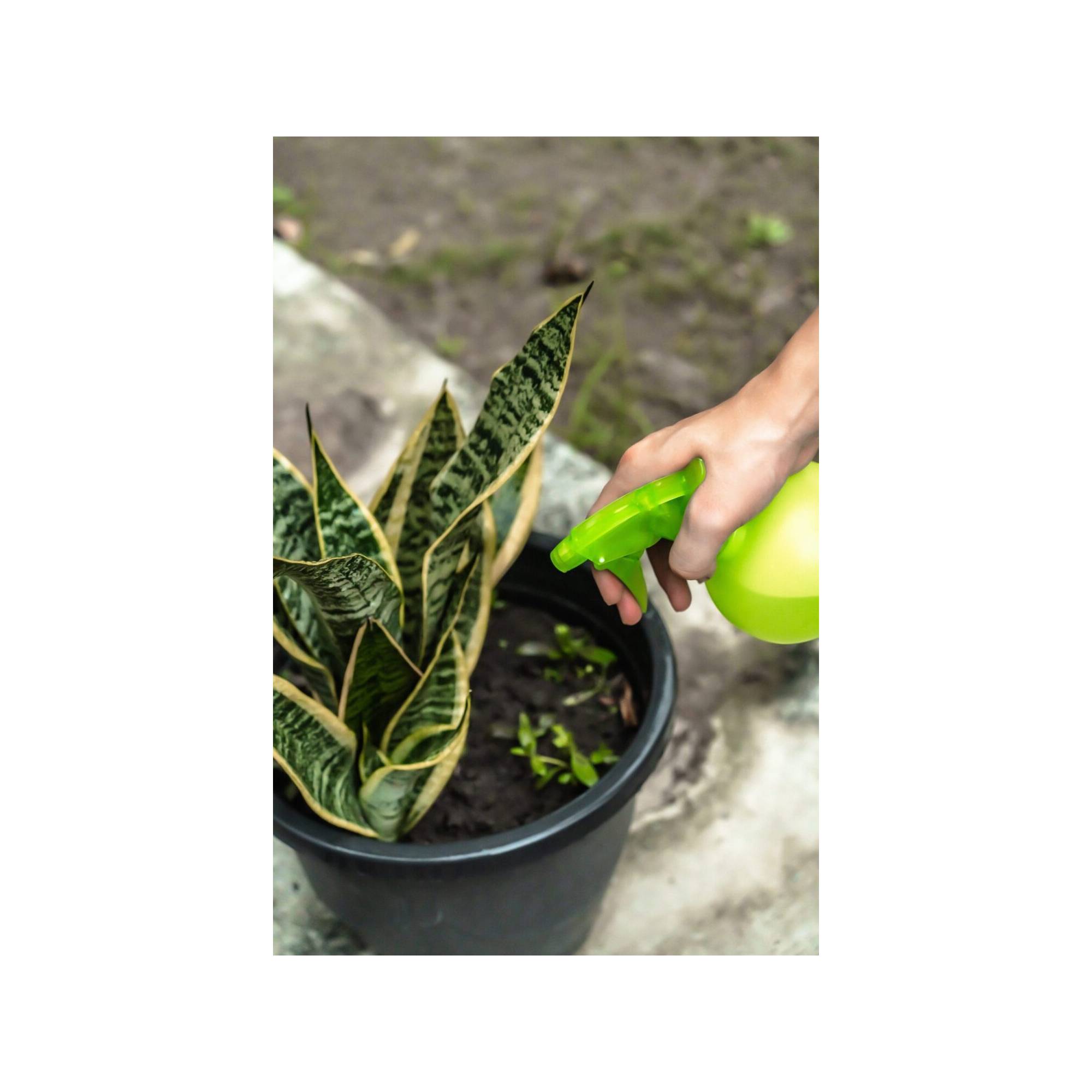 Flacon pulvérisateur - Suan - Multiusages pour le jardin et la maison - Contenance : 450 ml - Imagen 2