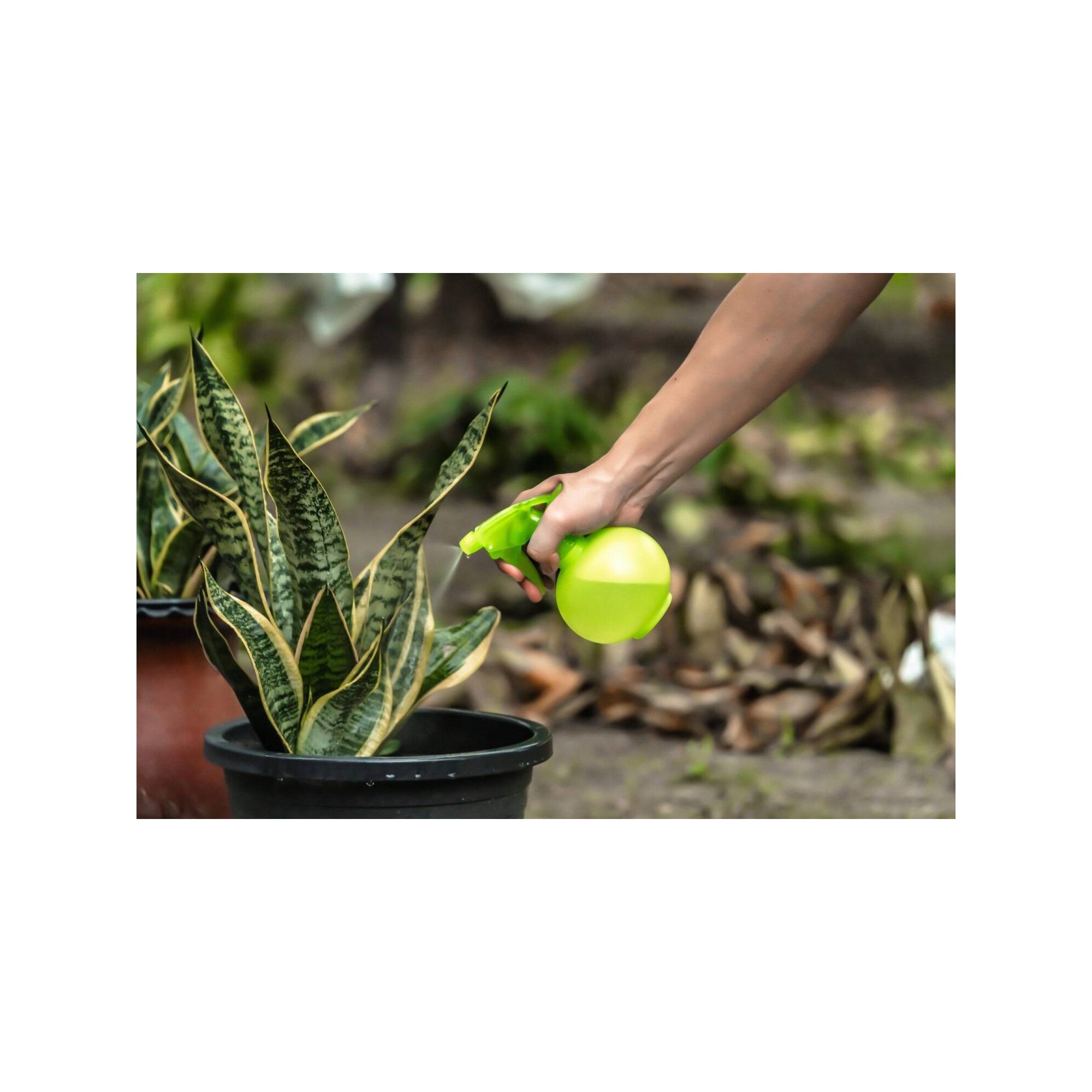 Flacon pulvérisateur - Suan - Multiusages pour le jardin et la maison - Contenance : 450 ml - Imagen 3