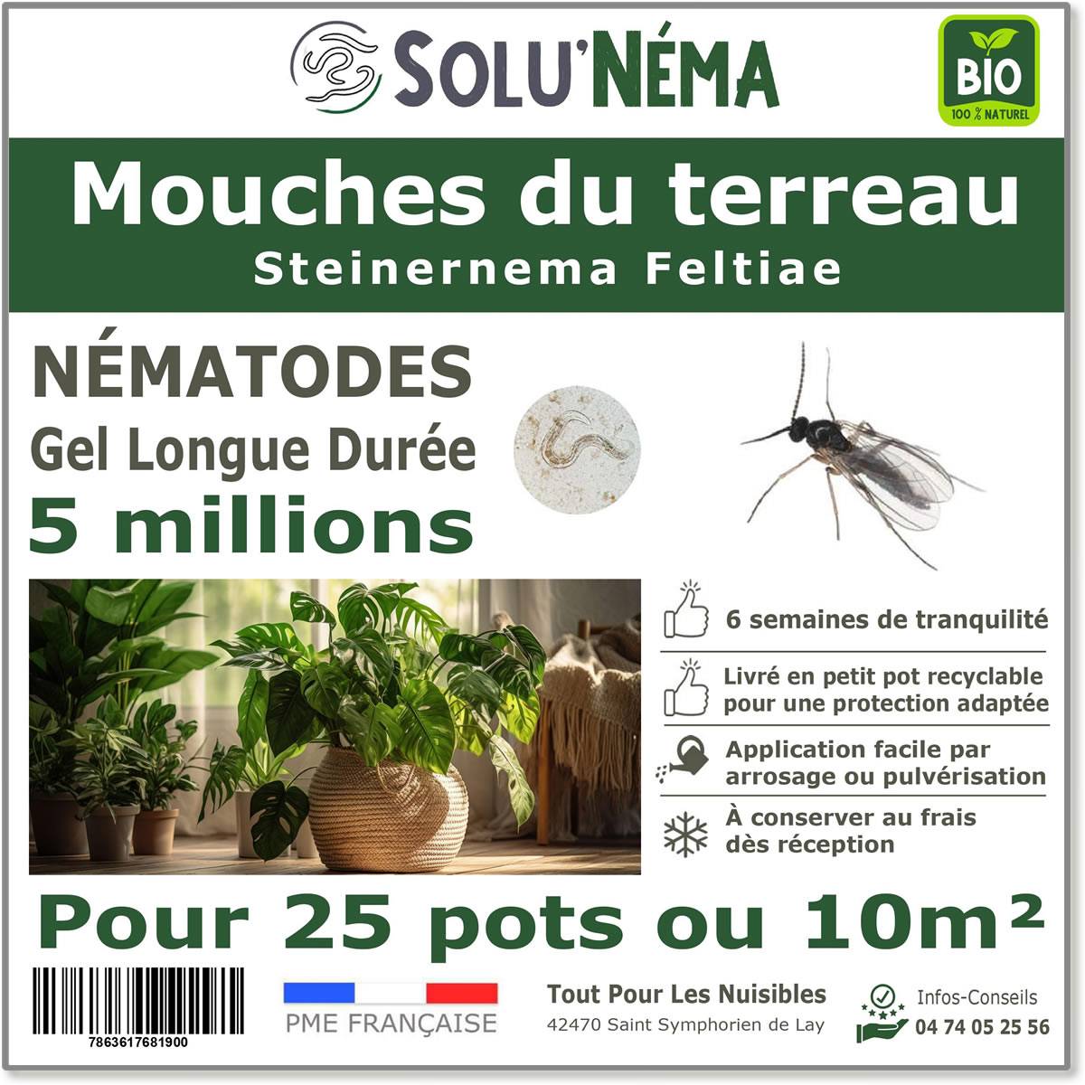 Solunéma - Nématodes SF contre la Mouche du Terreau - 5 millions Steinernema Feltiae - Traitement pour 25 pots soit environ 10m² - Image 1