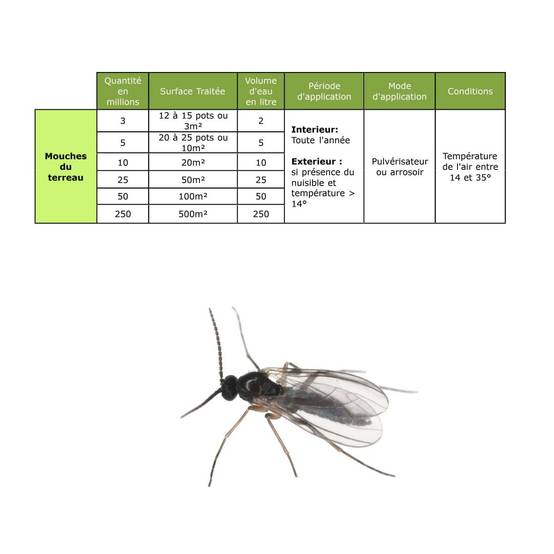 Solunéma - Nématodes SF contre la Mouche du Terreau - 5 millions Steinernema Feltiae - Traitement pour 25 pots soit environ 10m² - Image 4