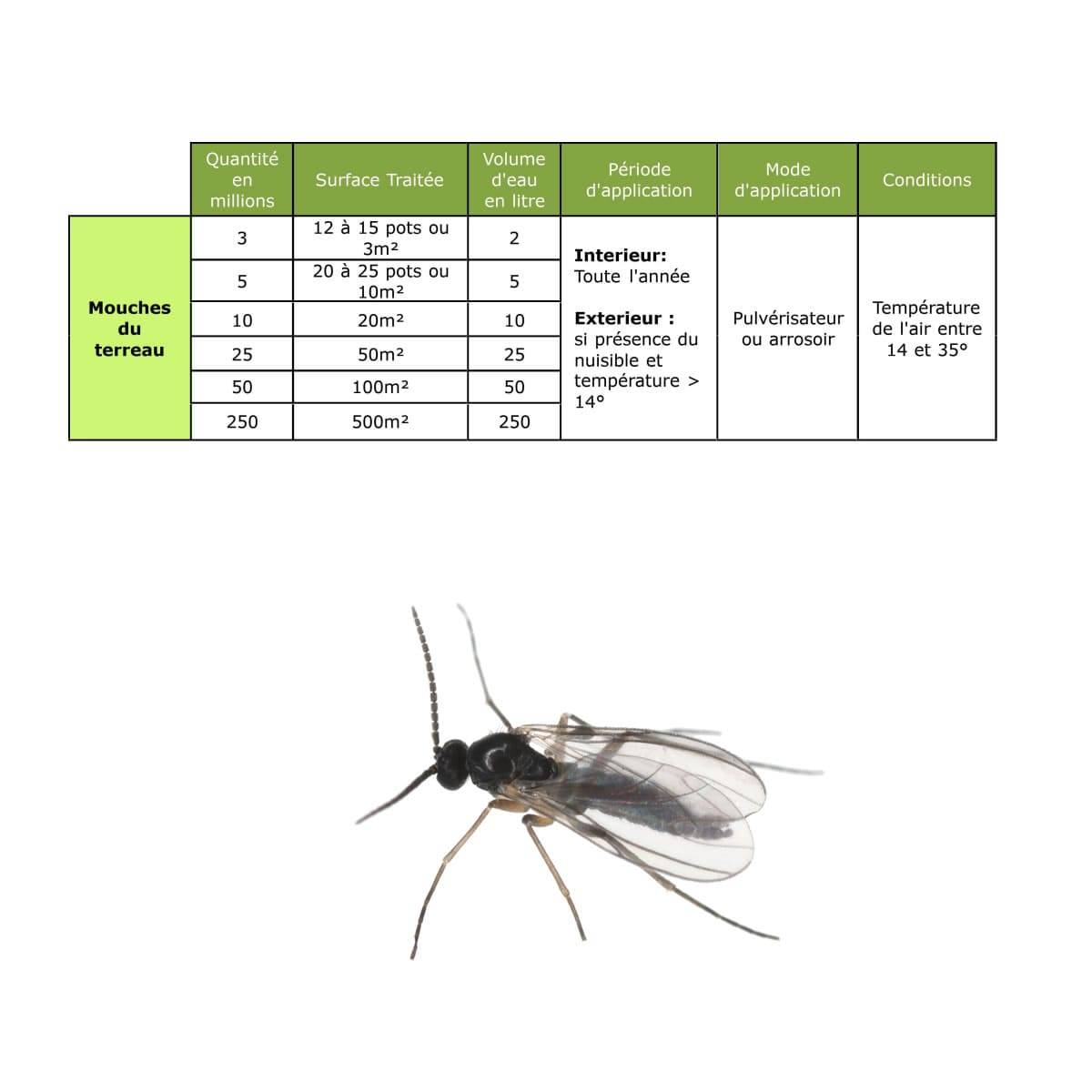 Solunéma - Nématodes SF contre la Mouche du Terreau - 5 millions Steinernema Feltiae - Traitement pour 25 pots soit environ 10m² - Image 4