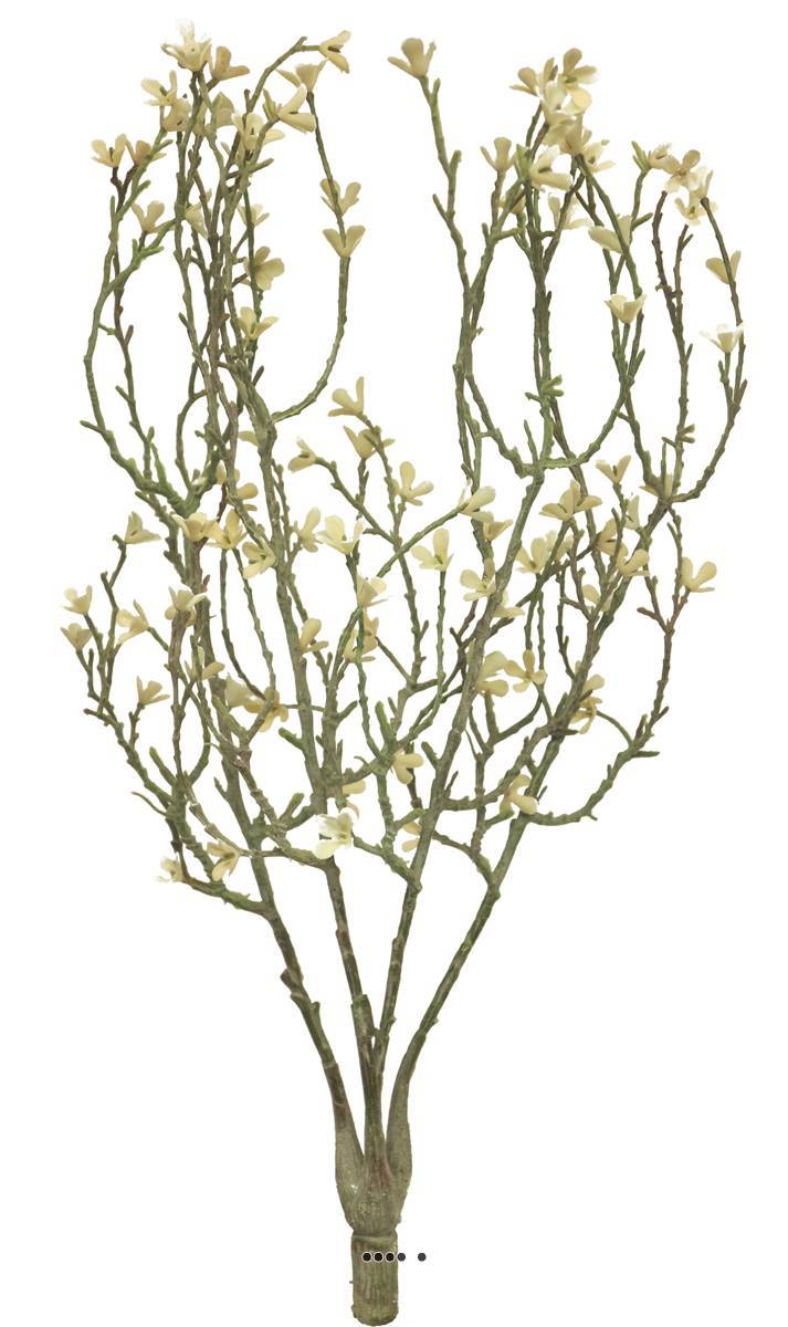 Artificielles - Jasmin artificiel en branche, 4 ramures, H 44 cm, Crème - couleur: Crème - Imagen 3