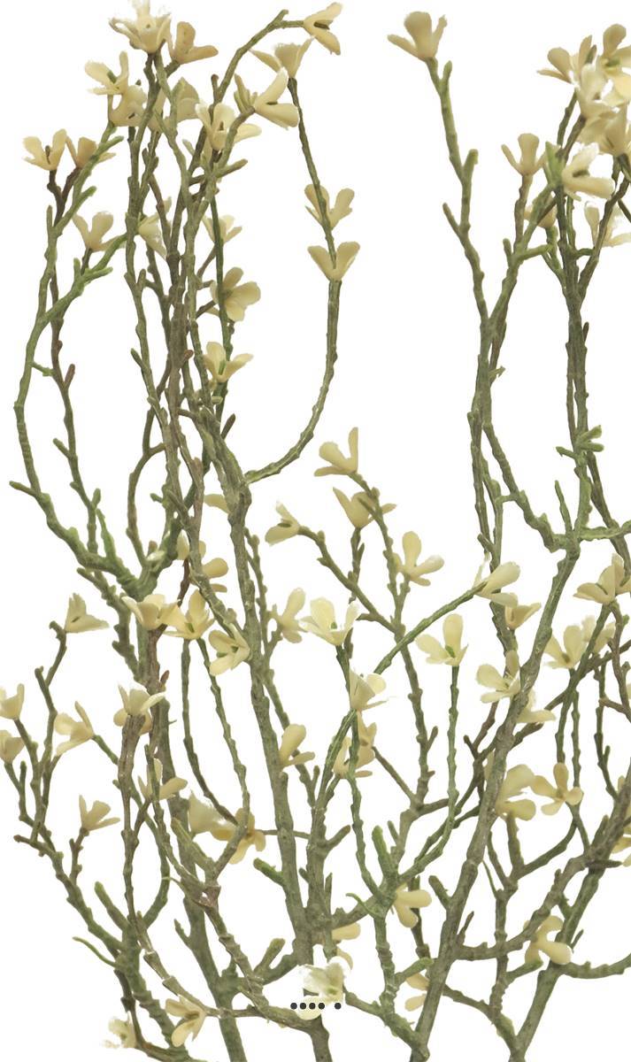Artificielles - Jasmin artificiel en branche, 4 ramures, H 44 cm, Crème - couleur: Crème - Imagen 4